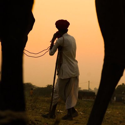 pushkar mela 6/9