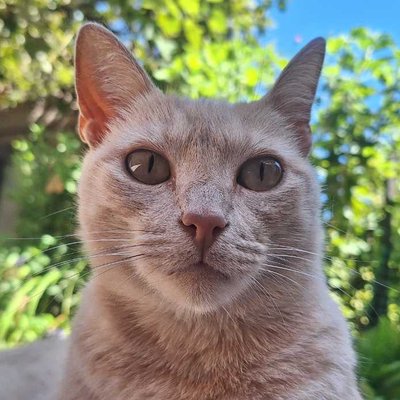 Caty 🐱