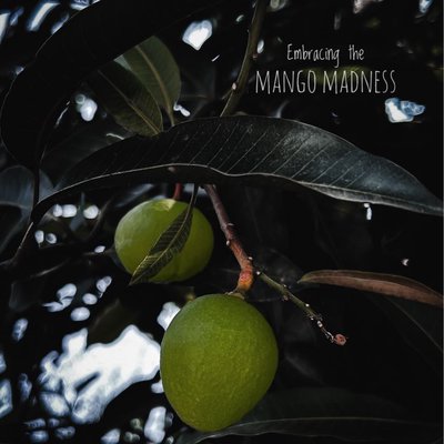 Mango madness🥭🥭