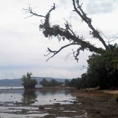 Pesisir