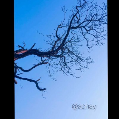 #Nature Photography