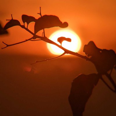 sunset Ramadhan