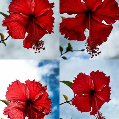 𝐁𝐞𝐚𝐮𝐭𝐲 𝐢𝐧 𝐨𝐧𝐞 𝐟𝐫𝐚𝐦𝐞.... 🥀☁