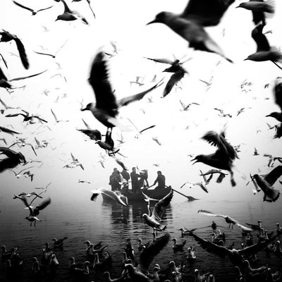 Migrate birds in yamuna ghat, black and white photography 