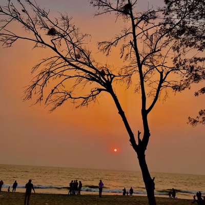 Calicut Beach