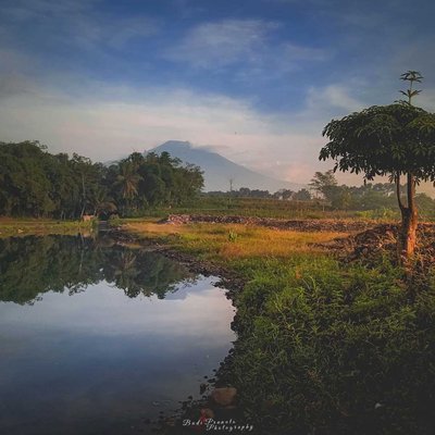 Landscape