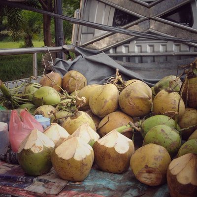 Kelapa Muda
