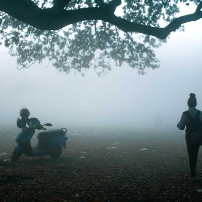 Misty Morning