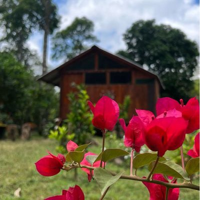 cabañas