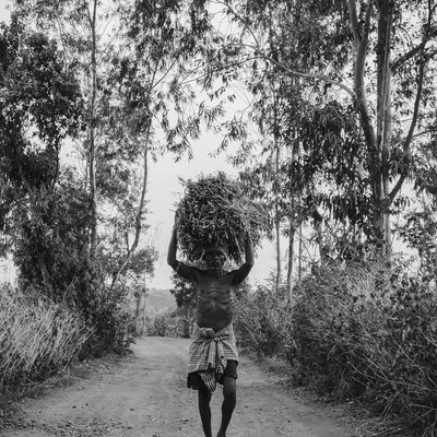 daily life of a Farmar pindle 