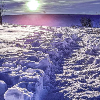Winter