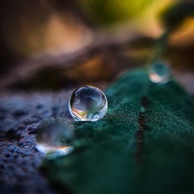 Water droplets