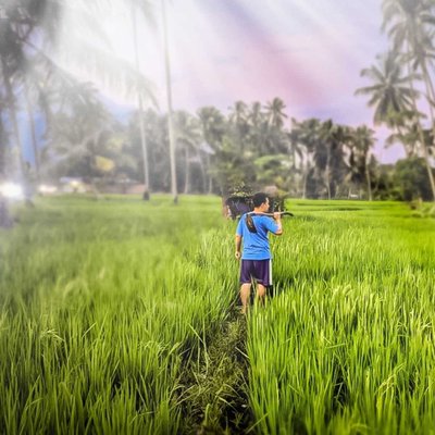 penikmat sawah 