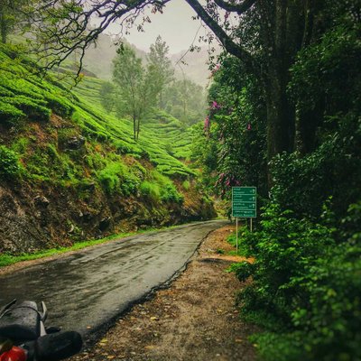 Kodaikanal 