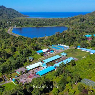 Sedanau