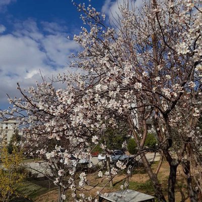İnsana umut veren mevsim🌺🌸🌼