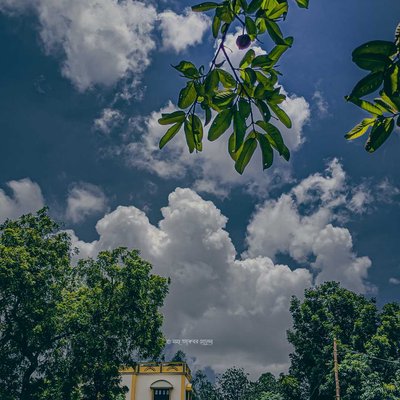Nature inspires me the most