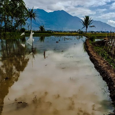 my village