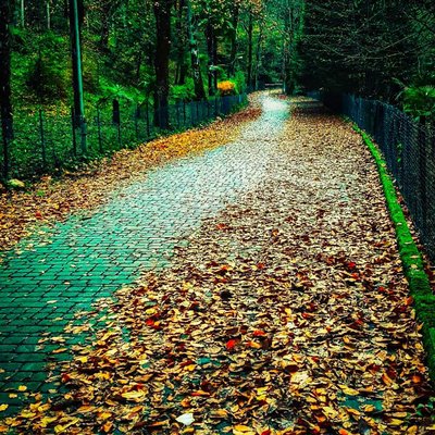 Yalova Termal yürüyüş yolu 