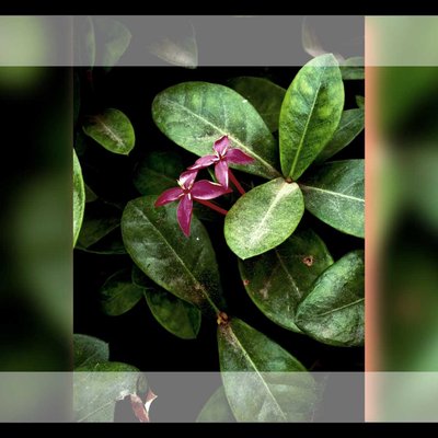 Today's click💫