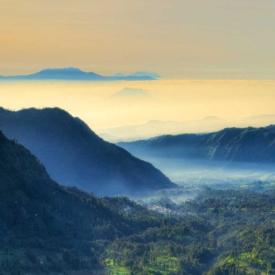 Misty morning