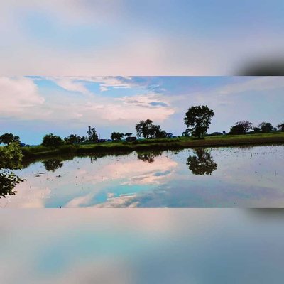 Mirror images