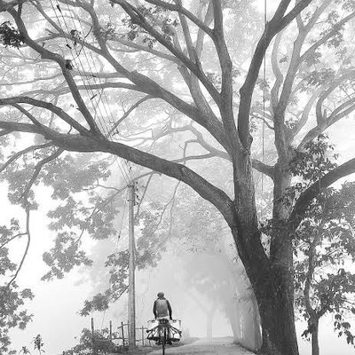 winter Morning 
