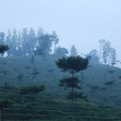 foggy
