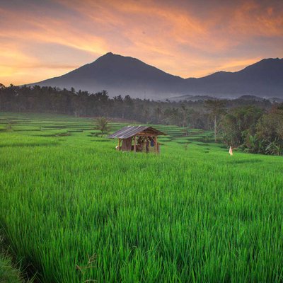 songgo langi