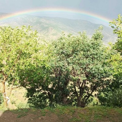 gökkuşağı 🌈