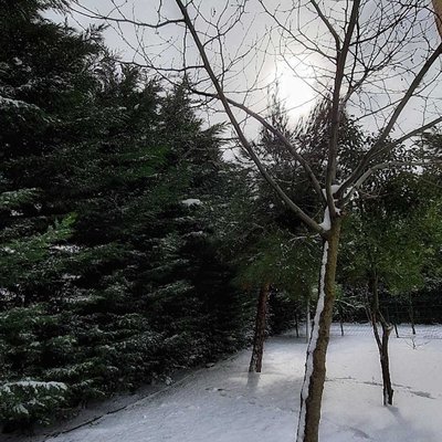 Karlı Günlerden 🌨️ 