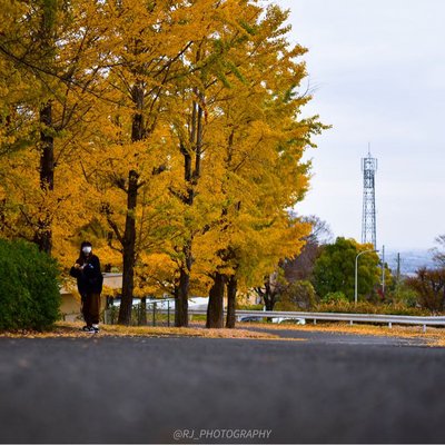 autumn vibes & street