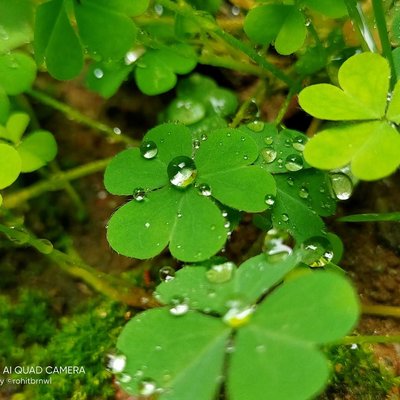 water drops 
