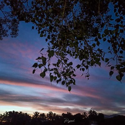 Evening💙