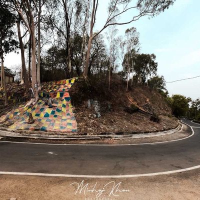 Curly Roads