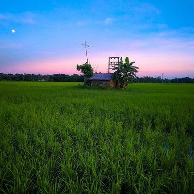 beauty of Bengal.....