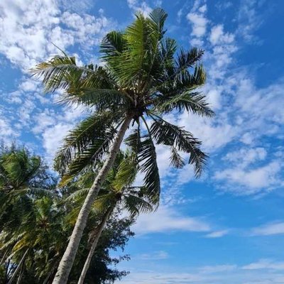 Tanjung Aru Beach