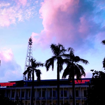 Evening View