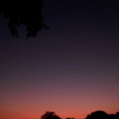 evening 