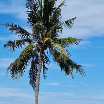 Tanjung Aru Beach
