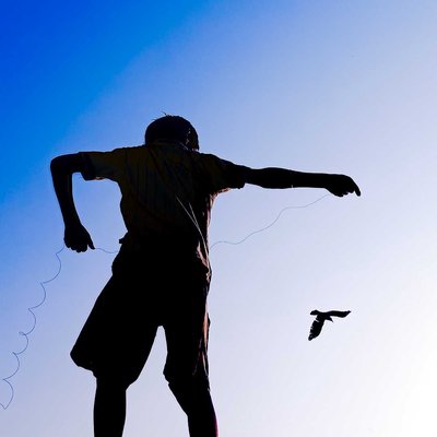 the art of Flying. 