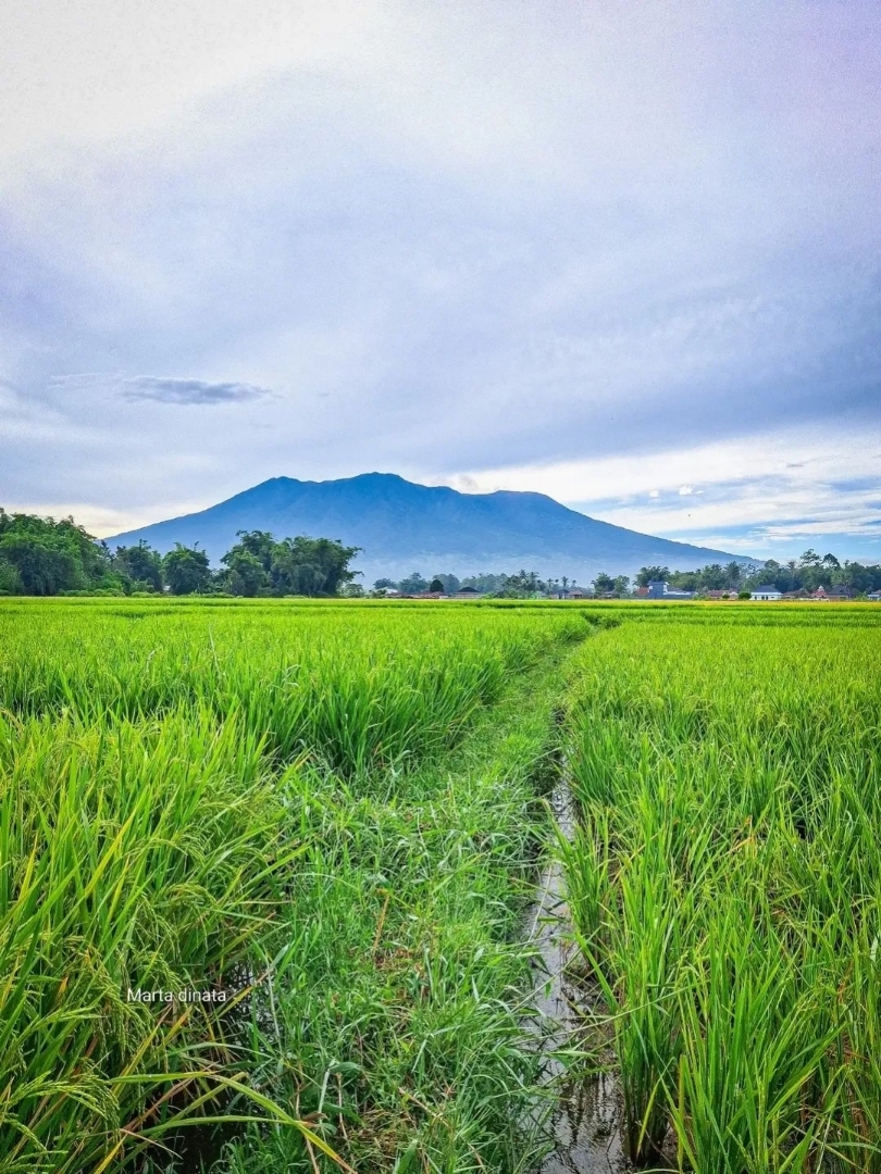 Gunung Marapi