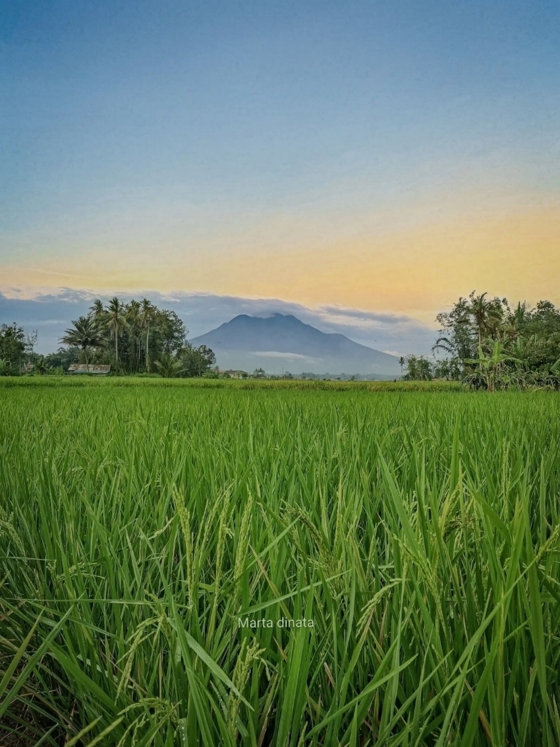 Menikmati senja