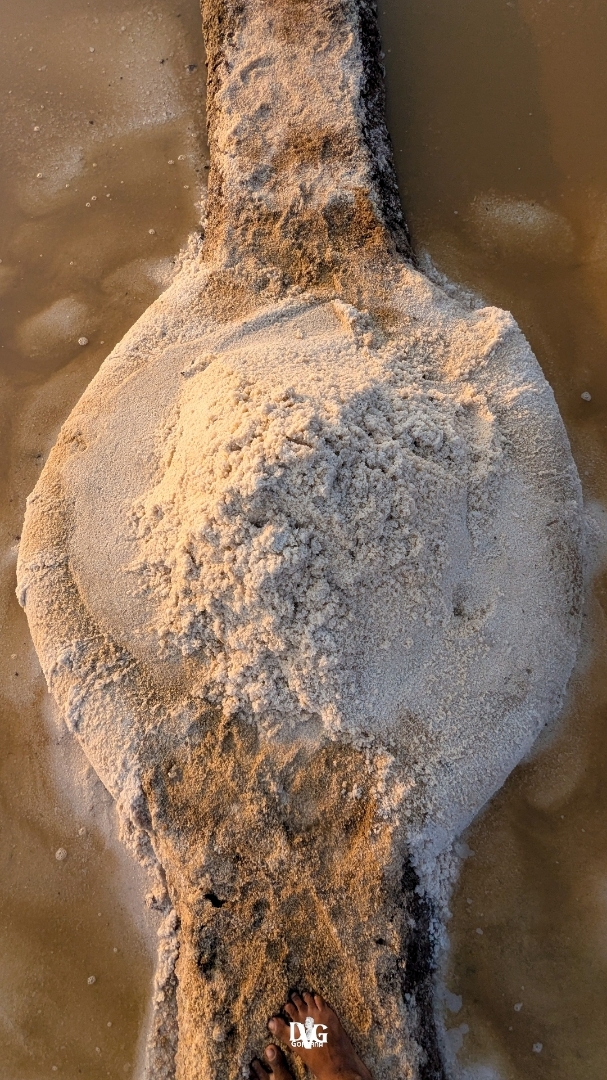 Sanikatta Salt.