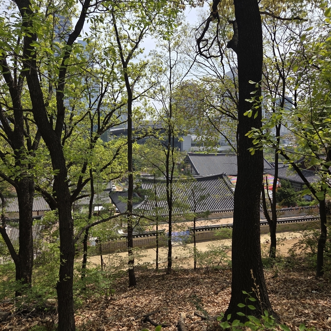 traditional roofs of the bongeunsa temple