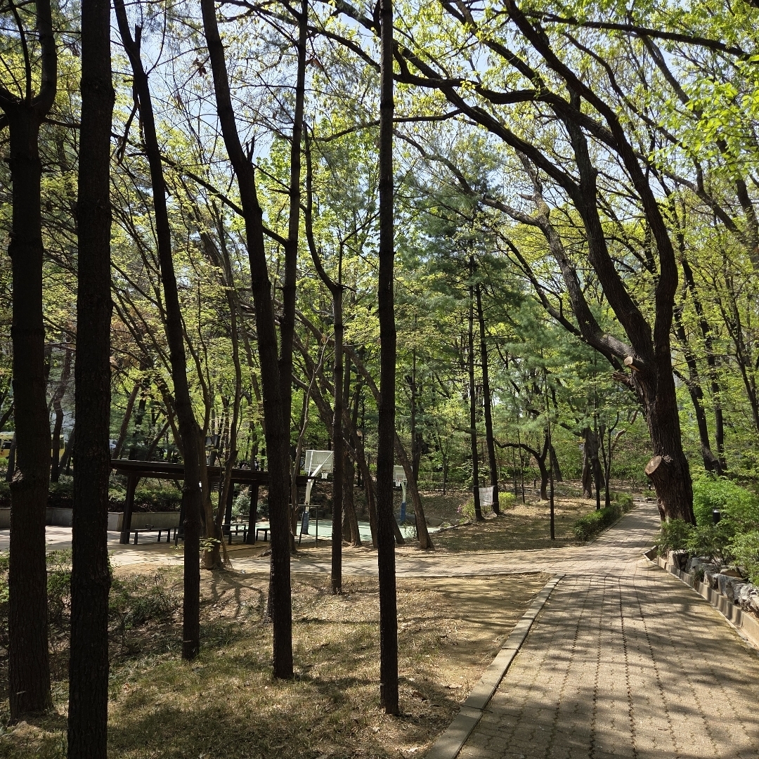 bongeun park