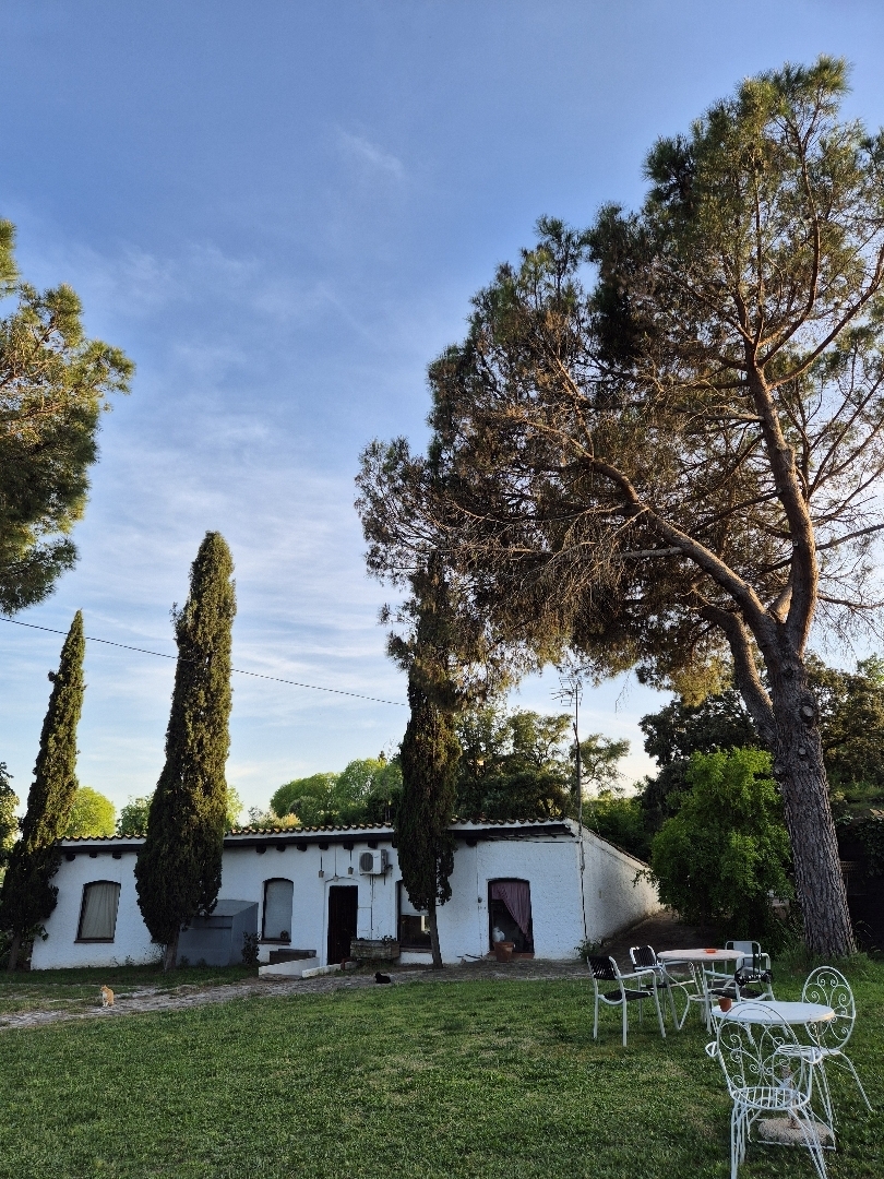Can Manent del Bosc