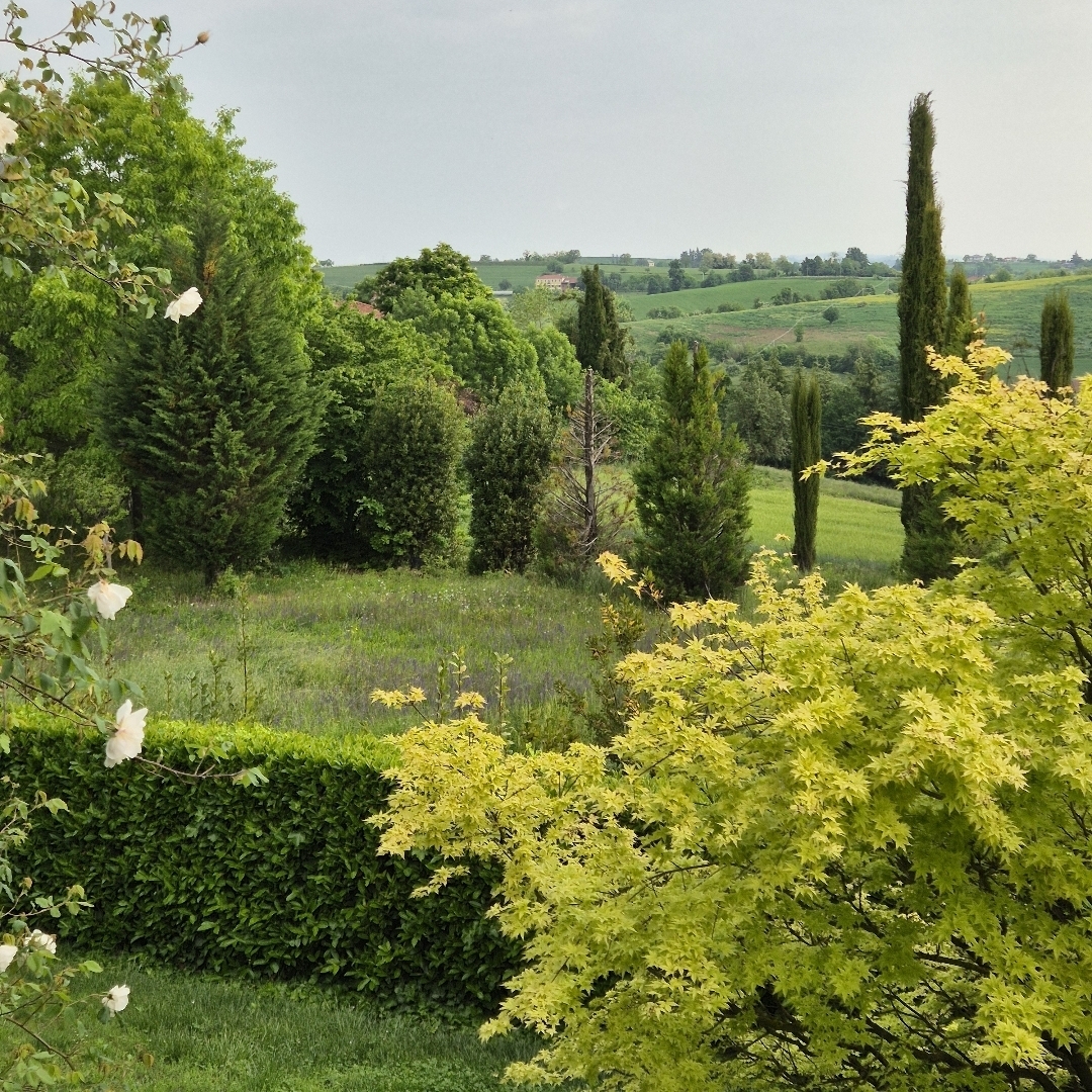 Punto di vista