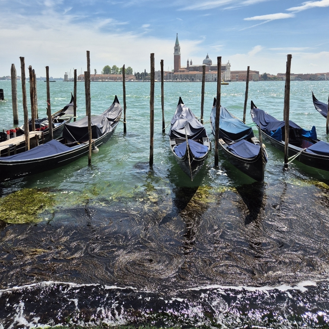 Venice
