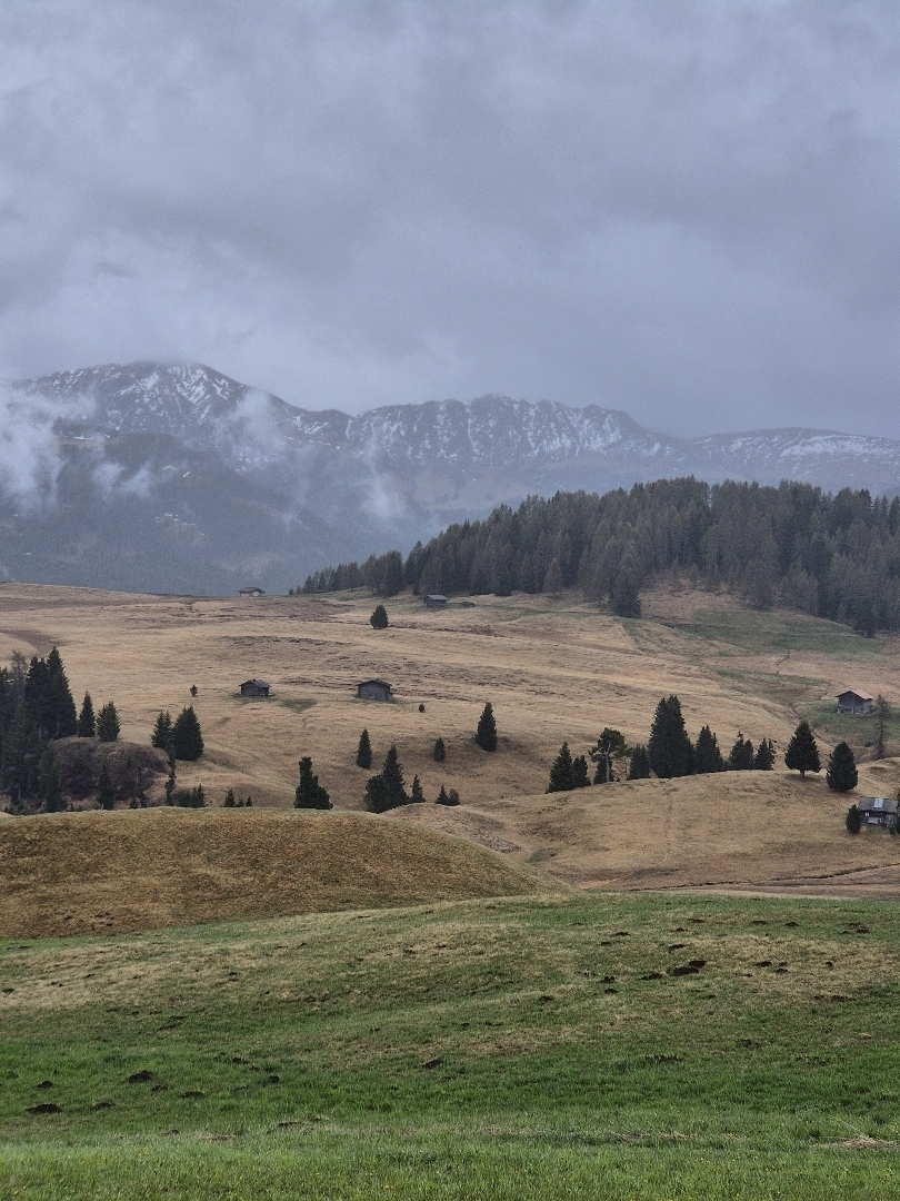 Alpe di Siusi